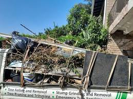 Trusted Braham, MN Junk Removal Services Experts